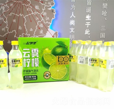 һ��ٰ����F���ʚ���ˮ480mlX8ƿ