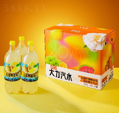 �������ˮ��������ơ��ζ1.25L��8