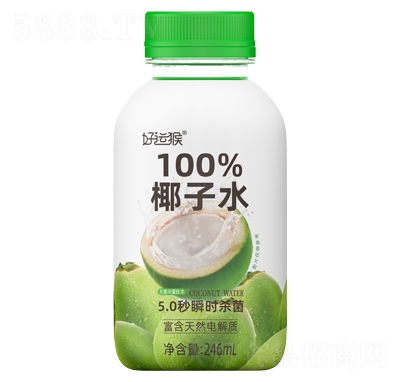 ���\��100%Ҭ��ˮ246ml