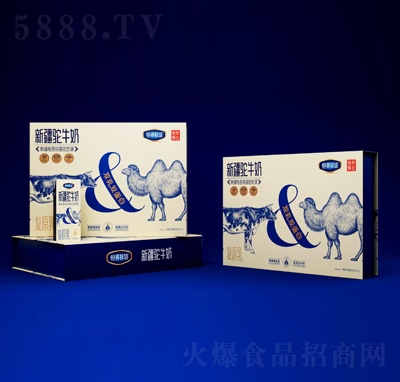 ���B(y��ng)����(ch��ng)�½��ţ��250mlX12����