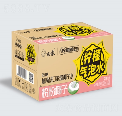 ���������ӷ۷�Ҭ�ә��ʚ���ˮ��ζ��ˮ500mlX15ƿ����