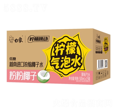 ���������ӷ۷�Ҭ�ә��ʚ���ˮ��ζ��ˮ500mlX15ƿ