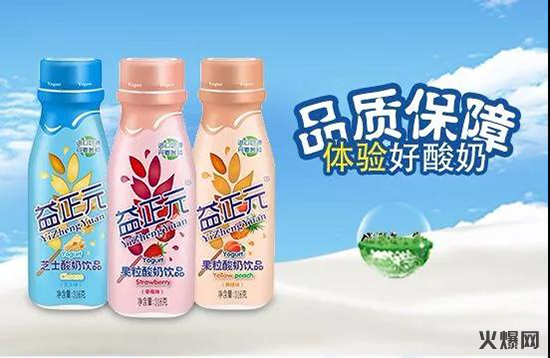 益正元乳酸菌 益正元乳酸菌