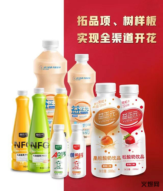 益正元乳酸菌 益正元乳酸菌