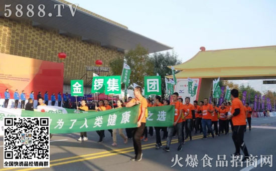 金鑼活動(dòng) 金鑼活動(dòng)