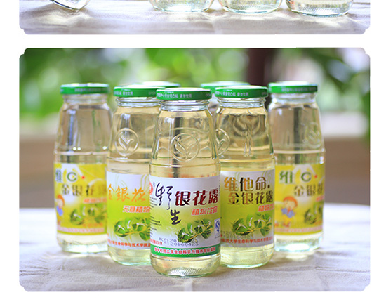 楚神金銀花露植物飲料 楚神金銀花露植物飲料