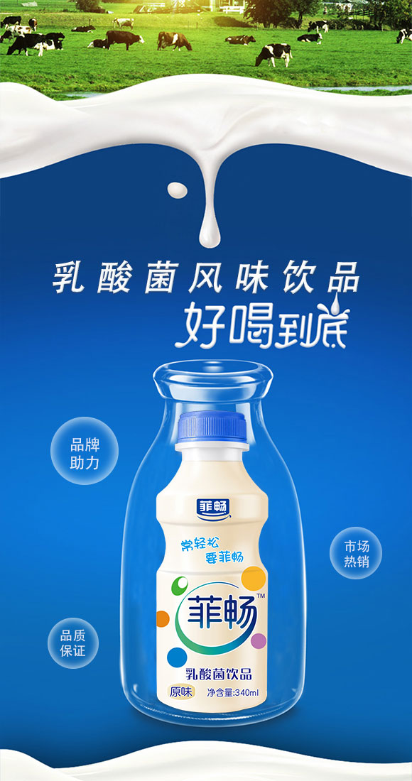 菲暢乳酸菌原味 菲暢乳酸菌原味