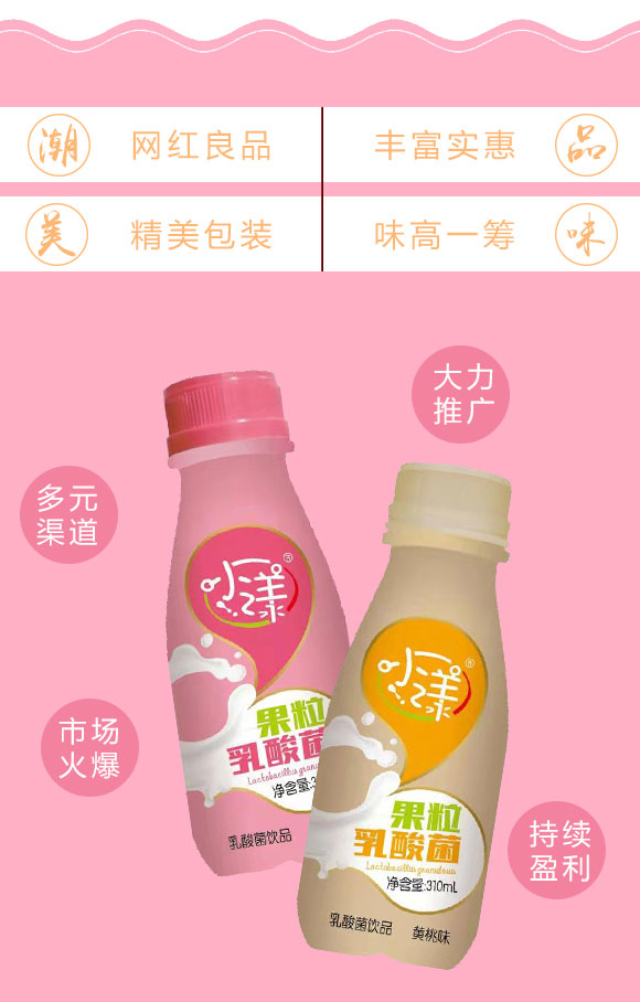 一太子乳酸菌_03 一太子乳酸菌_03