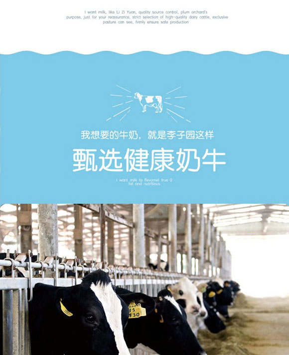 ���ӈ@��ζ���Ʒ450ml_09