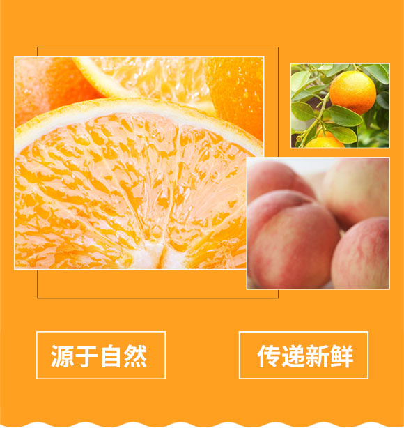 2.5L��֭���