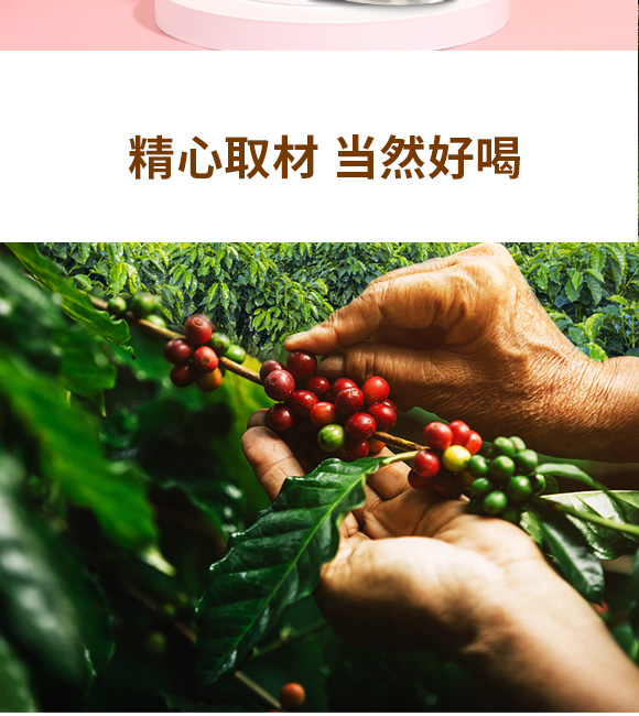 ħ���u�ԟῧ�����