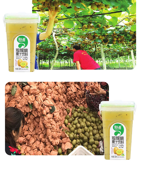 貴州鈺華弘宇食品有限公司-獼猴桃_04 貴州鈺華弘宇食品有限公司-獼猴桃_04