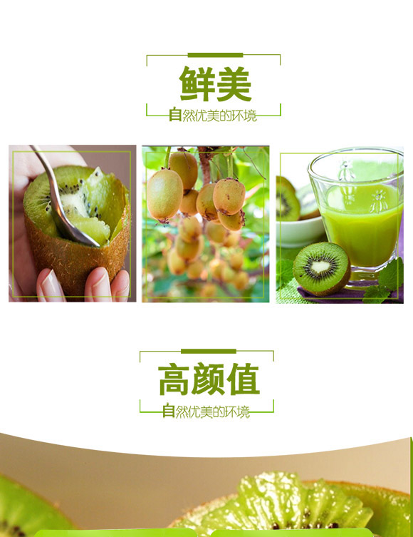 貴州鈺華弘宇食品有限公司-獼猴桃02_02 貴州鈺華弘宇食品有限公司-獼猴桃02_02