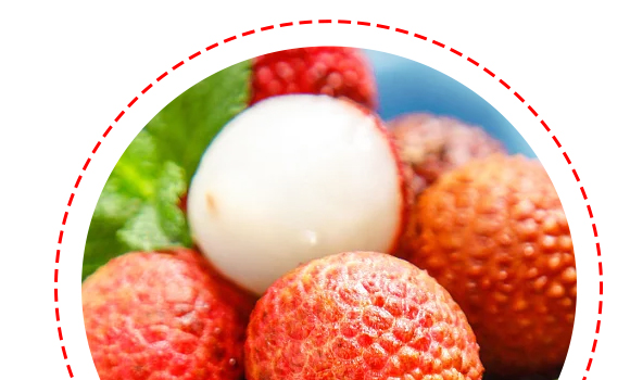 �����-��֦-�a(ch��n)Ʒ����(c��)_05