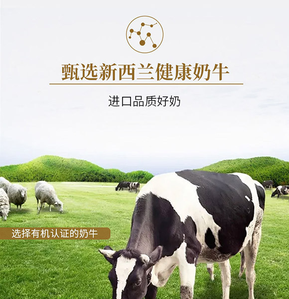 �Ϻ���T���H�Q(m��o)�����޹�˾-��ݮţ��02_06