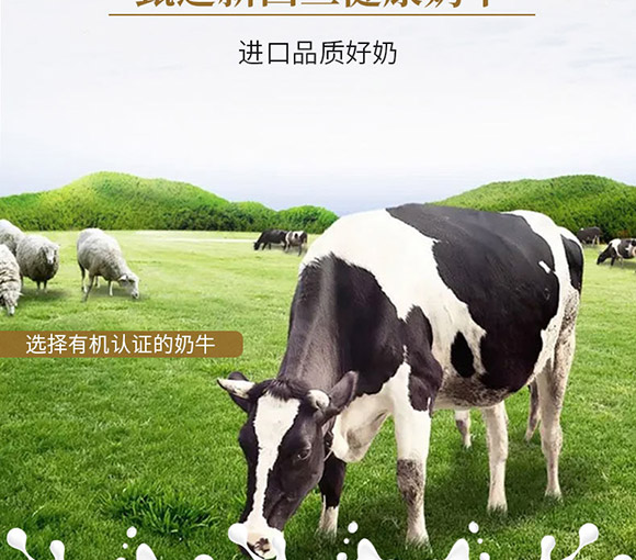 �Ϻ���T���H�Q(m��o)�����޹�˾-ԭζţ��_07