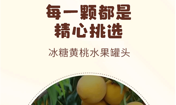 ɽ�|�ɅRʳƷ������޹�˾-����_06