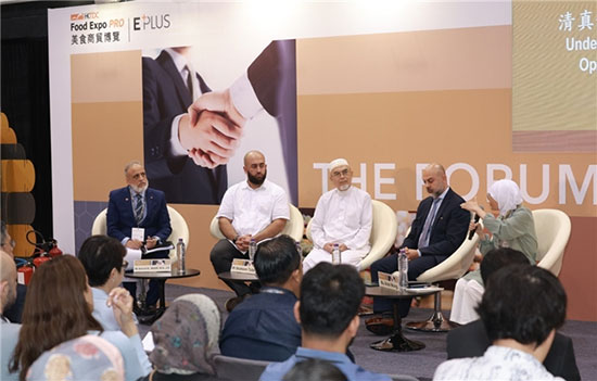 31c8663789d4dd6ac69f2aa80cf0ea29 31c8663789d4dd6ac69f2aa80cf0ea29