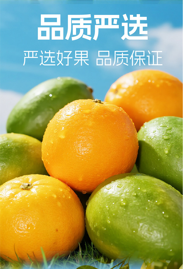 ΢�ňDƬ_2025-10-23_160742_386_05